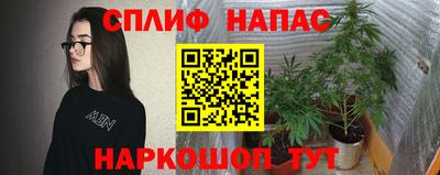 стаф Дубна