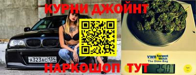 стаф Дубна
