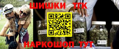 стаф Дубна