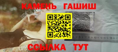 стаф Дубна