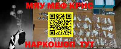 стаф Дубна
