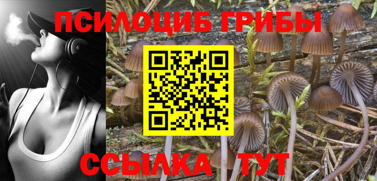 Галлюциногенные грибы Psilocybine cubensis  Вход с VPN  сколько стоит  Галлюциногенные грибы ЛСД  Михайловск 