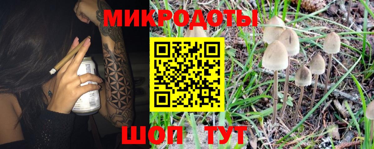 Галлюциногенные грибы прущие грибы Михайловск